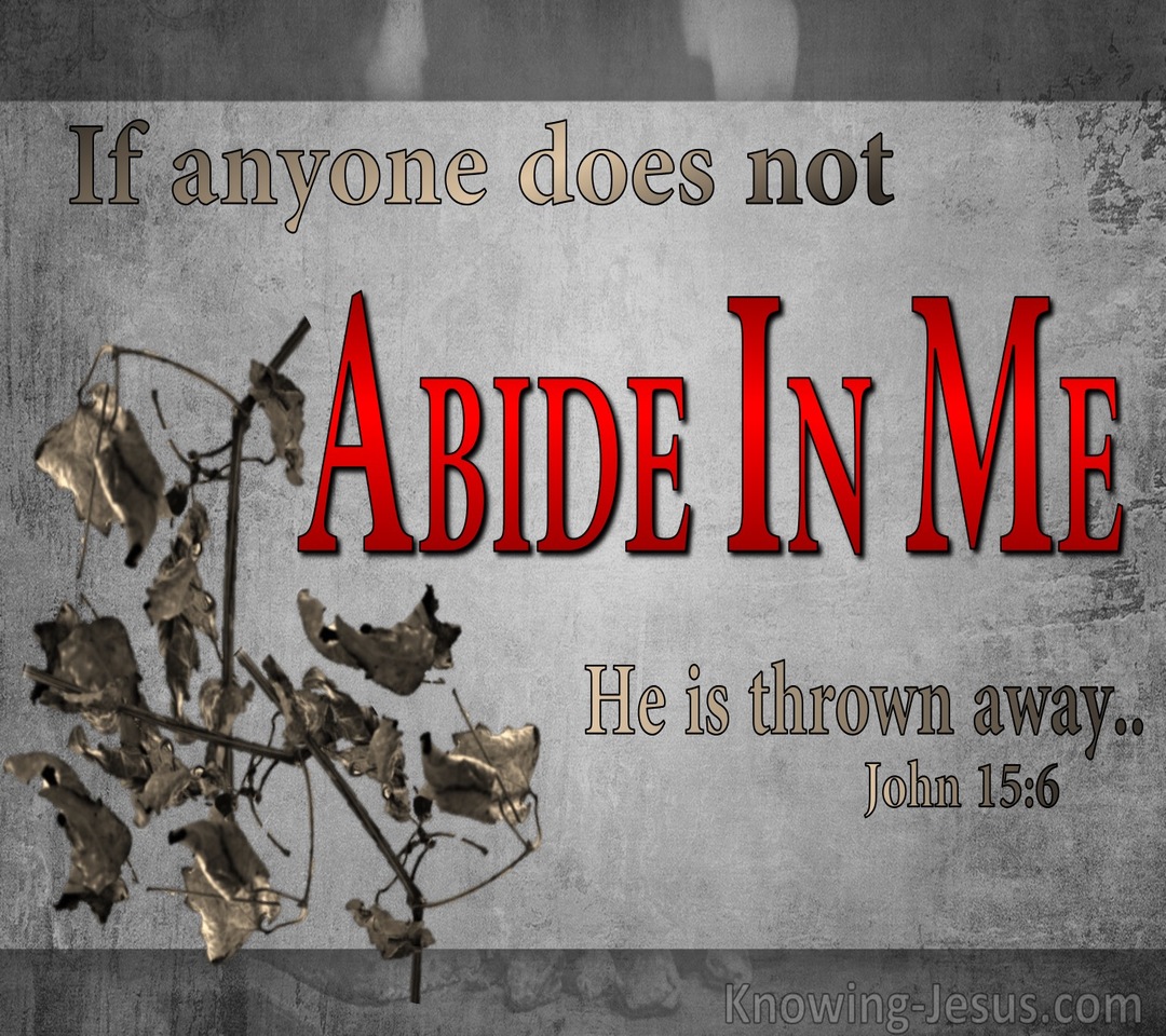 John 15:6 He Who Does Not Abide In Me Is Thrown Away (gray)
